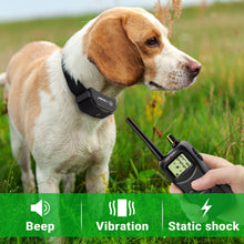 Cargar imagen en el visor de la galería, Collar Electrico Collar Adiestramiento Petrainer 1000M Pet900 (Hasta 3 Perros)
