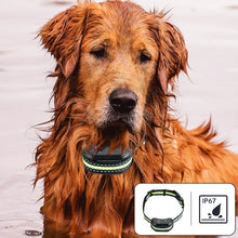 Cargar imagen en el visor de la galería, Collar Electrico Collar de Adiestramiento para Perros Impermeable y Recargable
